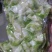 新鲜榨菜丝