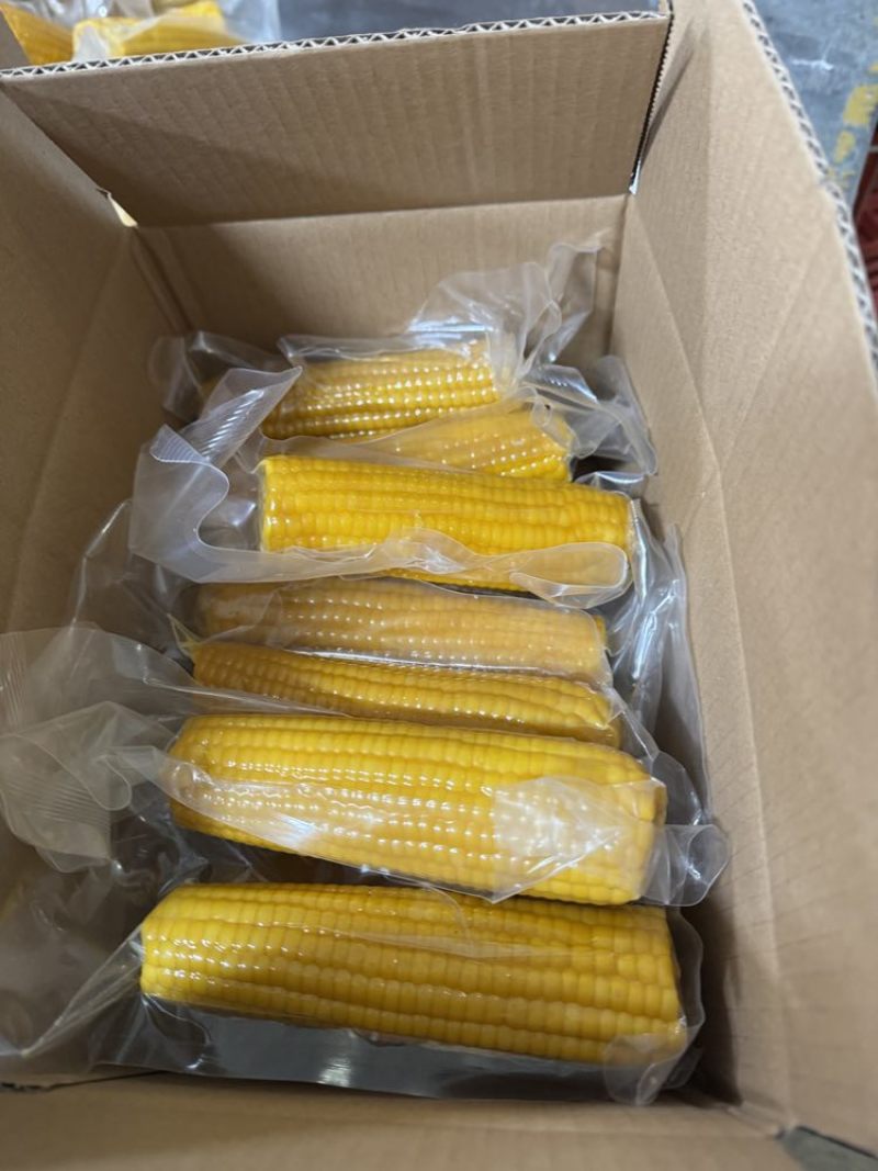 东北黄糯玉米。一件代发，源头工厂。