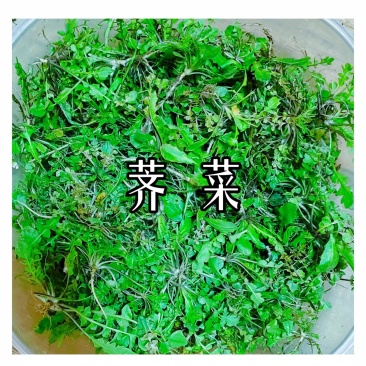 虞城荠菜
