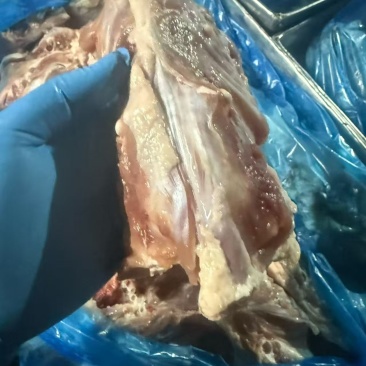 去尾鸭壳，15公斤一袋