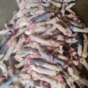 育肥花羊蹄一斤3个