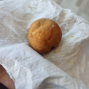 鸡宝