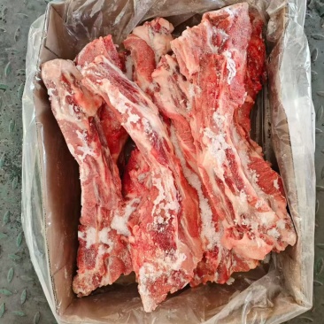 母猪多肉尾骨10公斤箱装手续齐全现货