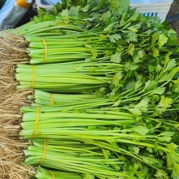 小香芹