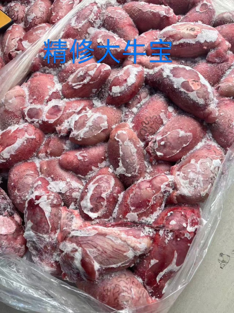 精修牛宝