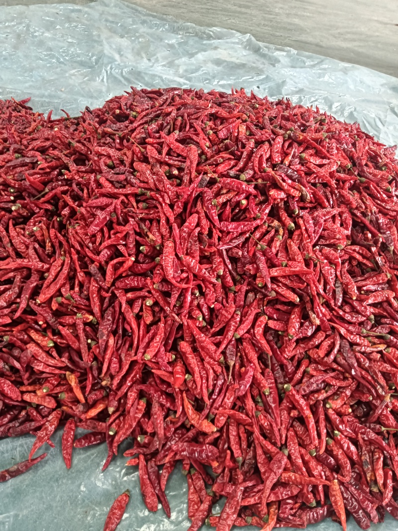 朝天椒干辣椒