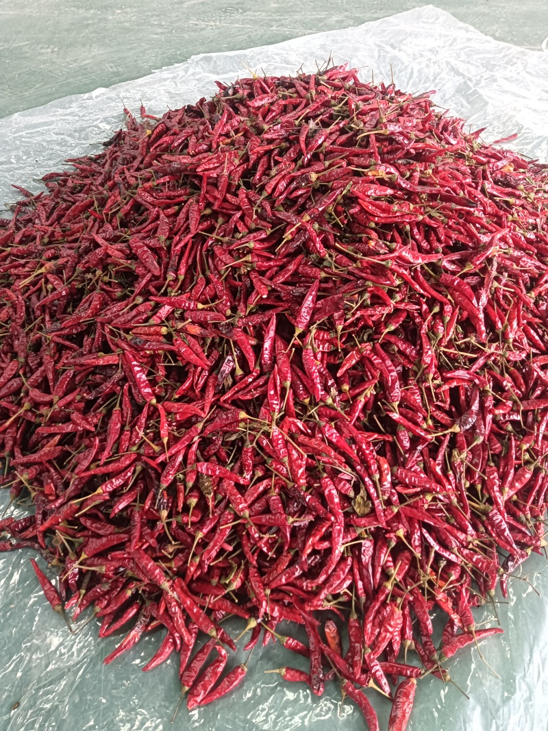 朝天椒干辣椒