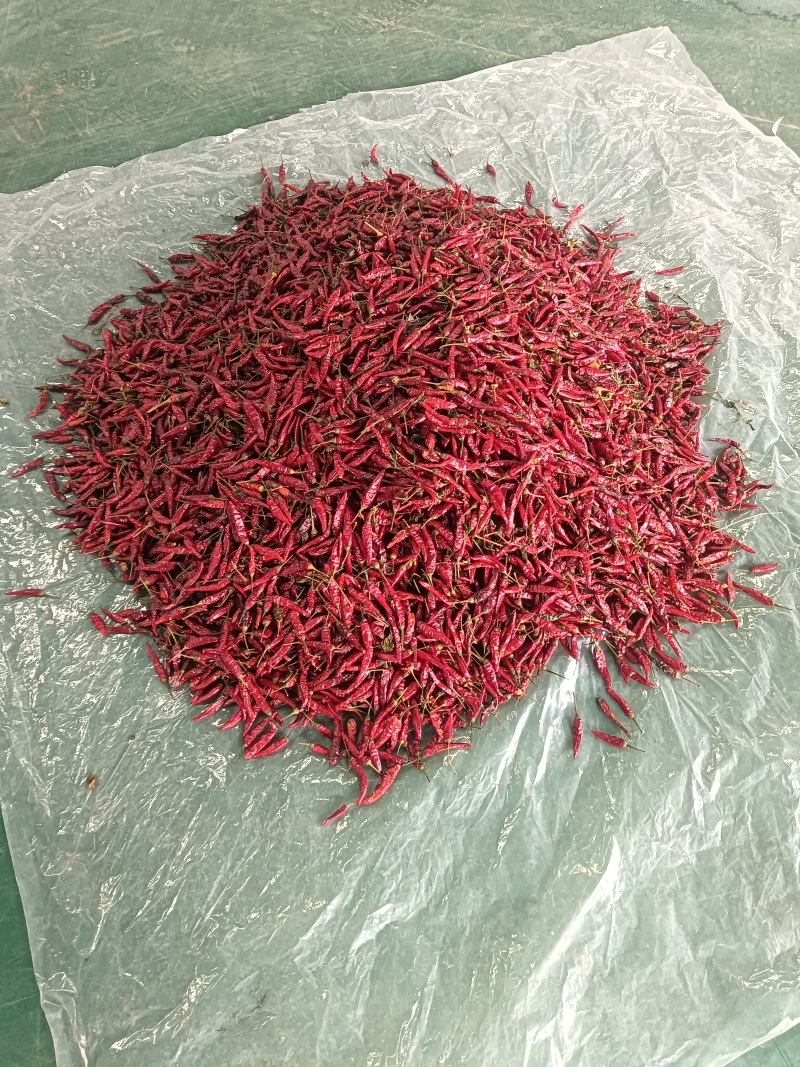 朝天椒干辣椒