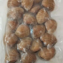 真空黄蚬子
