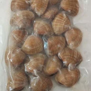 真空黄蚬子