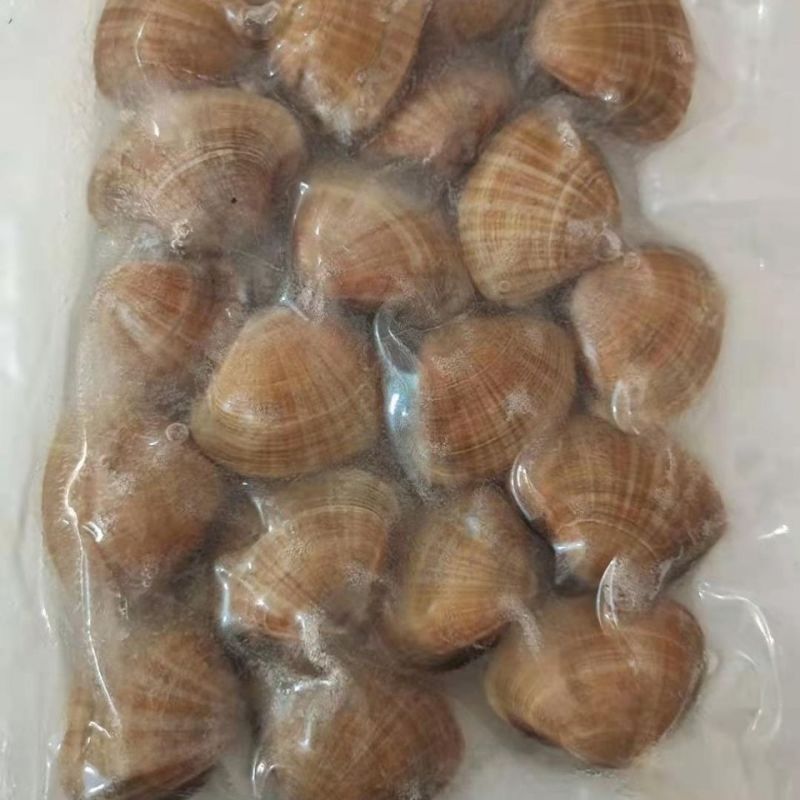 真空黄蚬子