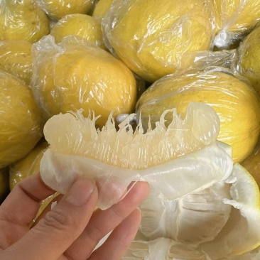 永州江永粗石江老树沙田柚