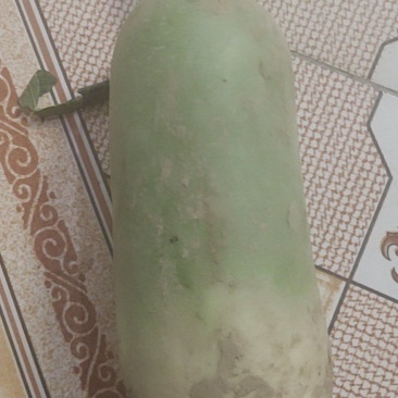 萝卜