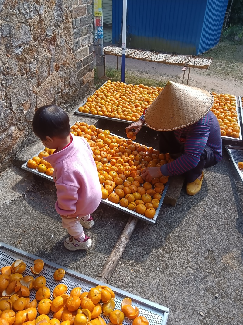茶枝柑陈皮