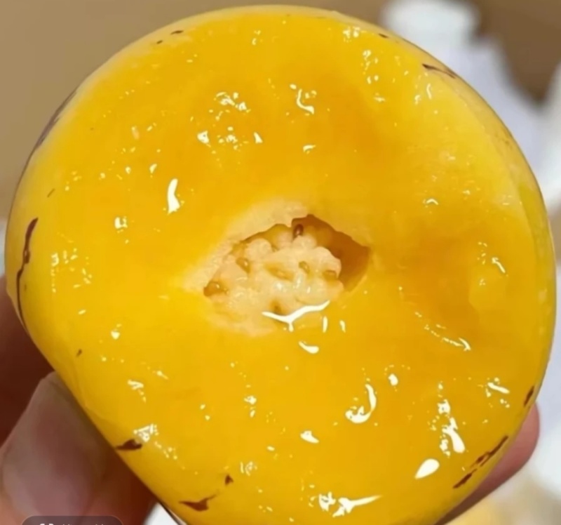 云南石林人参果黄肉树上熟新鲜多汁当季水果