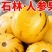 云南石林人参果黄肉树上熟新鲜多汁当季水果
