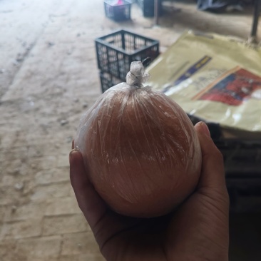 红梨