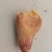 鸡宝有需要的老板可以联系我