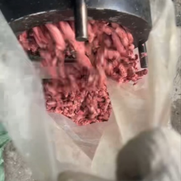 纯肉饲料
