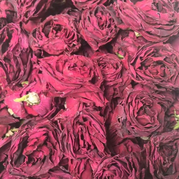 云南冻干墨红玫瑰