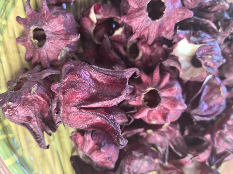 冻干洛神花