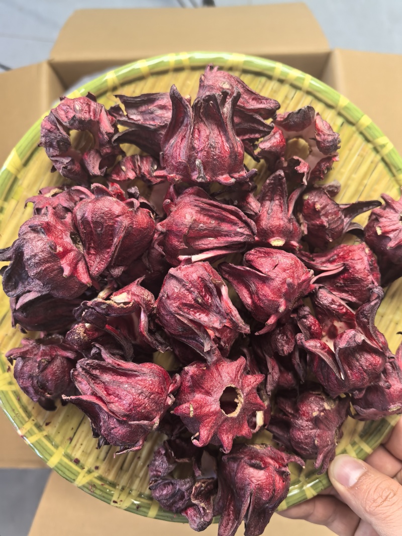 冻干洛神花
