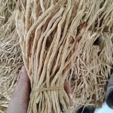 甘肃地产中药材黄芪党参甘草关防风