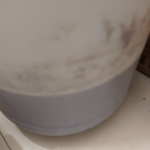 有蜂蜜100左右