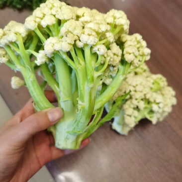 花菜