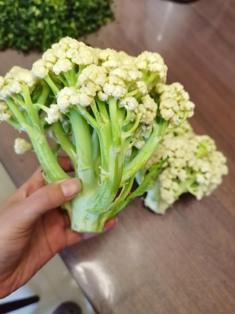 花菜
