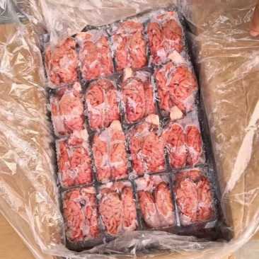 猪脑花一箱96个