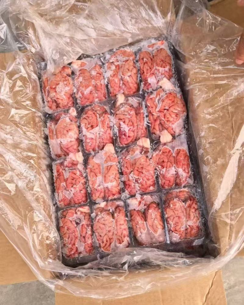 猪脑花一箱96个