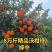 沃柑走线上线下，看上的联系我***********