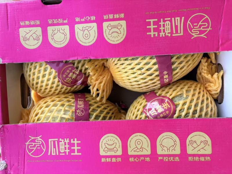 批发冰糖橙