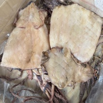 鱿鱼干