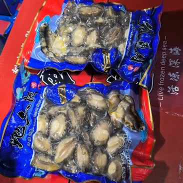 鲍鱼肉/带壳鲍鱼/大小规格都有货