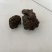 羊黄羊结石