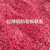 干辣椒