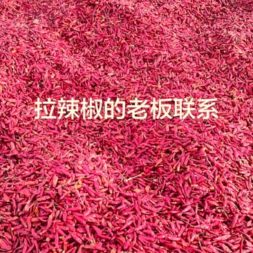 干辣椒