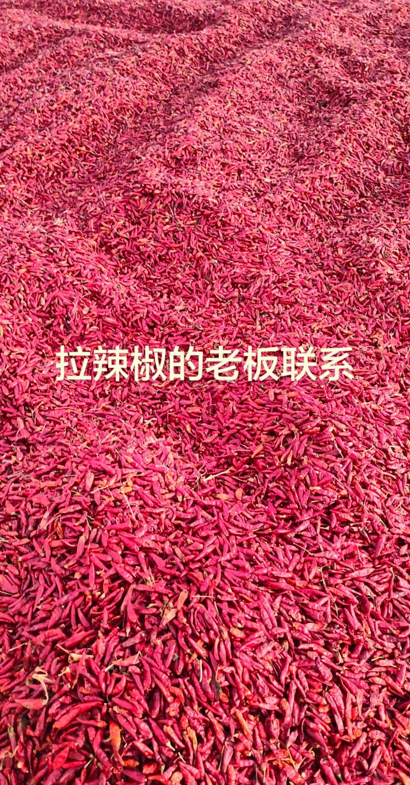干辣椒