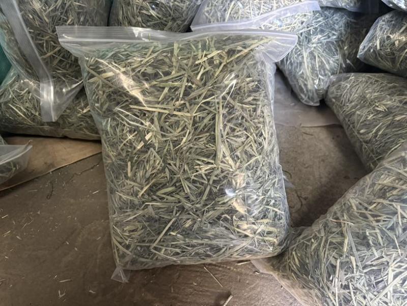 黄金燕麦