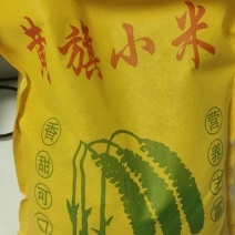 黄旗小米，