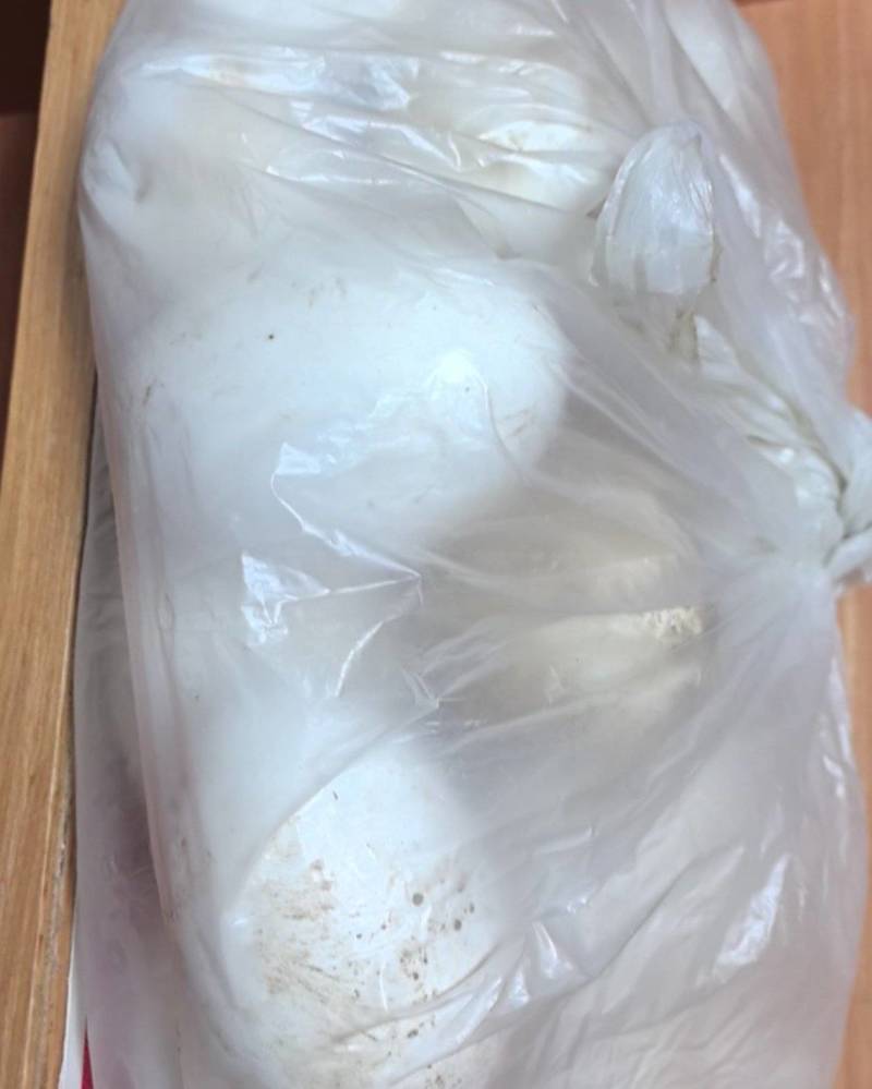 我想卖鹅蛋