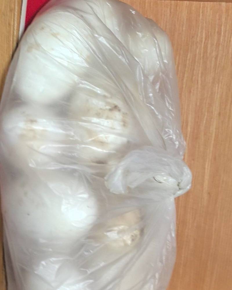 我想卖鹅蛋