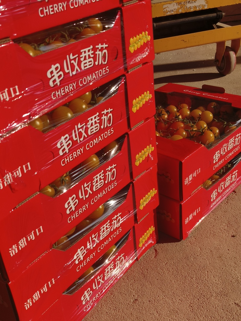 黄樱桃小番茄