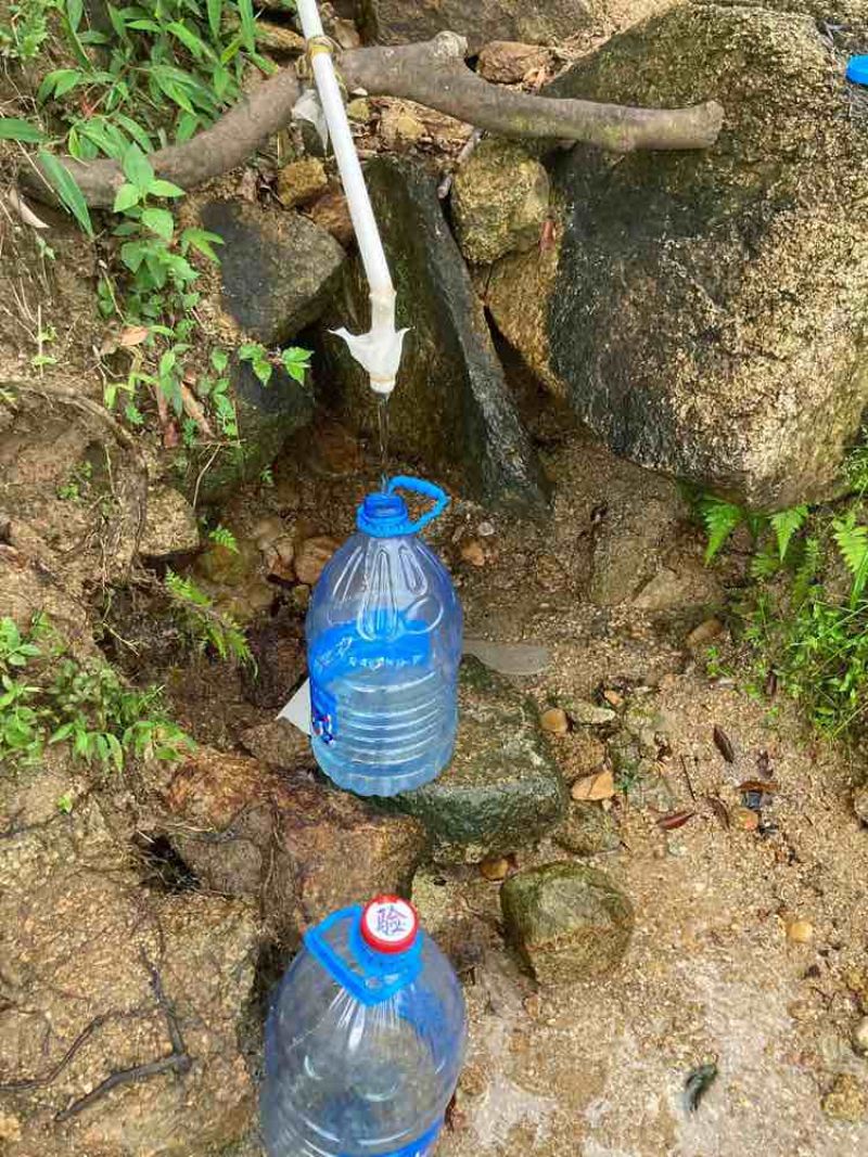 纯手工甜酒糟甜米酒（黄小姐），需提前预定