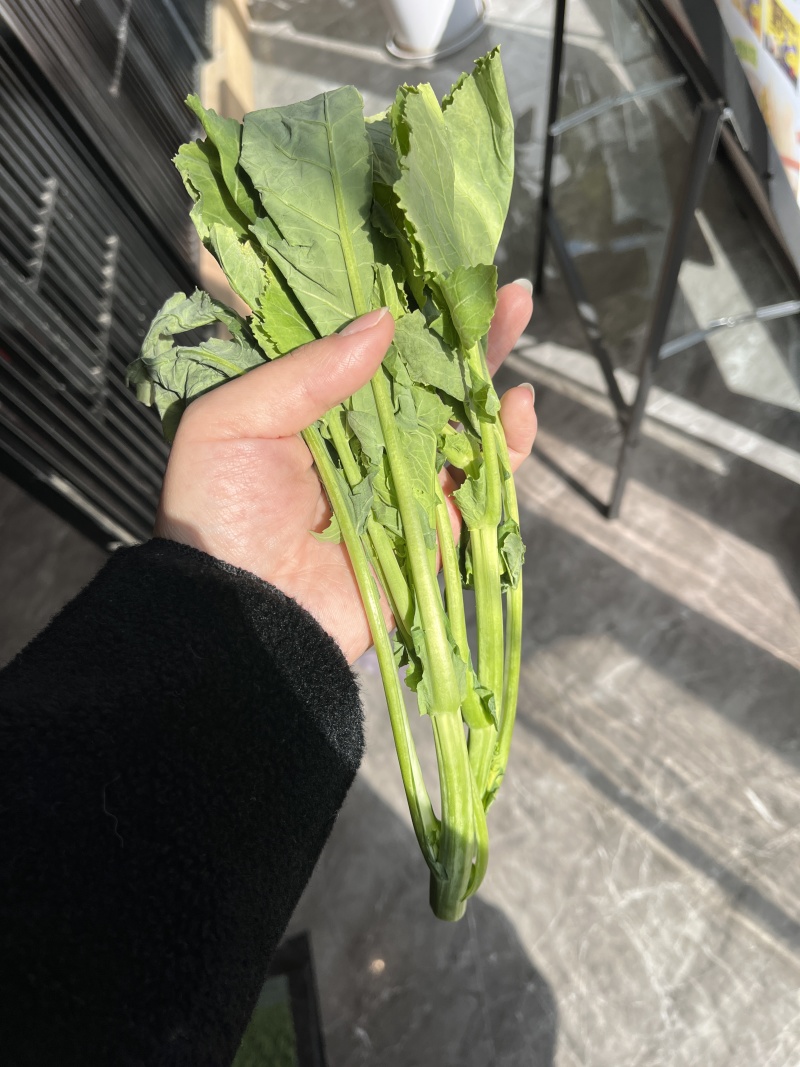 高钙菜苔