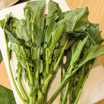高钙菜苔