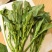 高钙菜苔