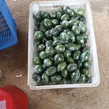 广东湛江香水柠檬